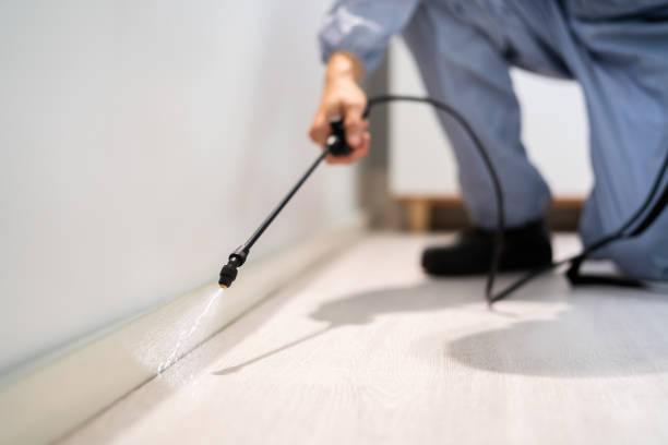Bed Bug Pre-Treatment Preparation Assessment in Akron
