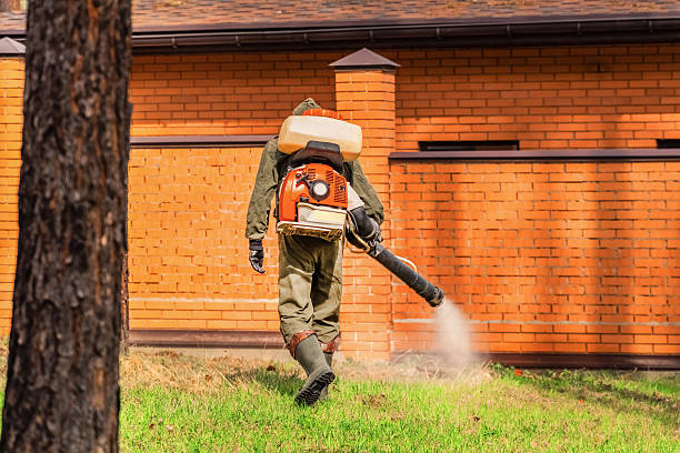 Bed Bug Clearance Verification and Documentation in Akron